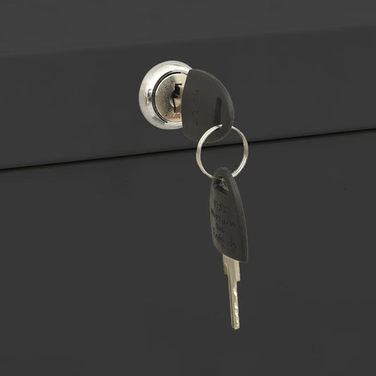 vidaXL Filing Cabinet Under Desk Office File Cabinet Storage Cabinet Steel